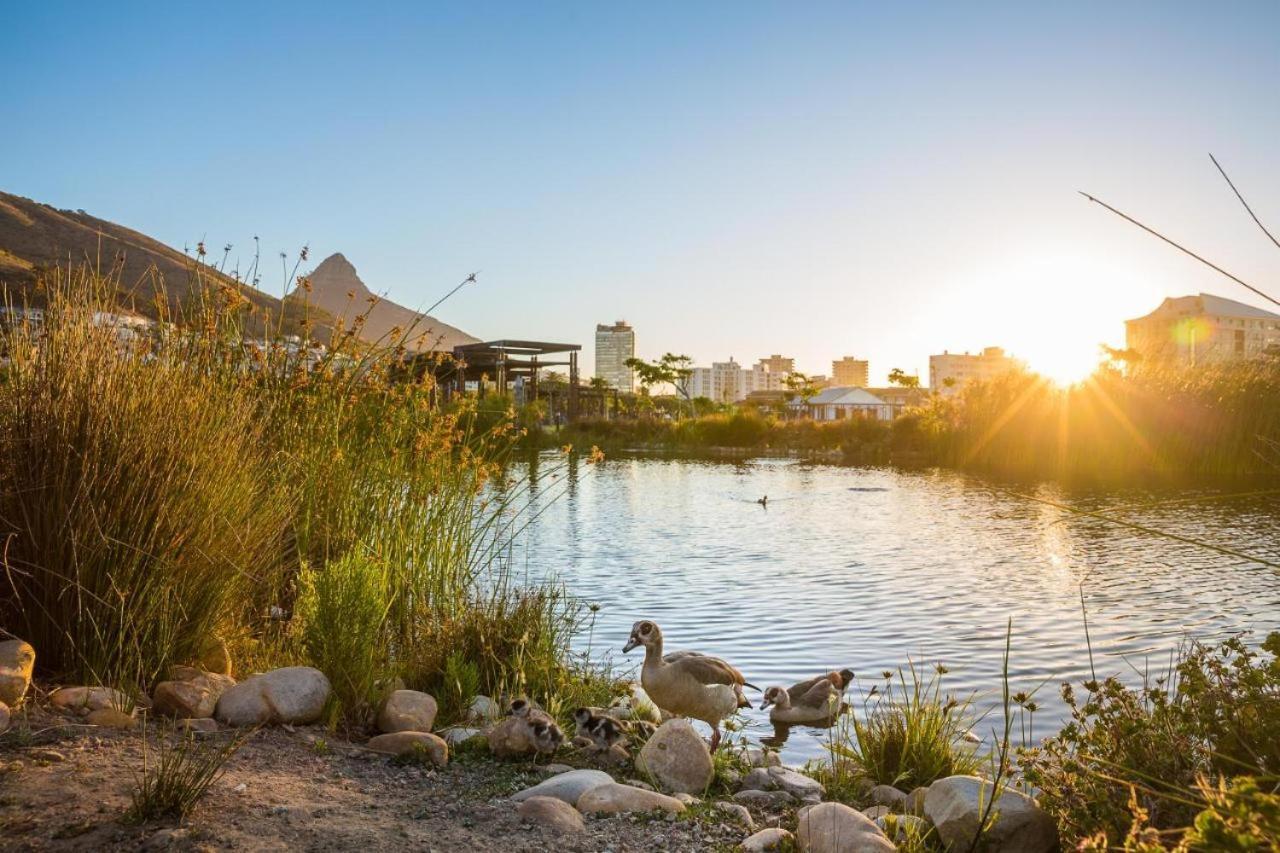 Luxury Apartment, Near V&A Waterfront And Cpt Stadium Cape Town Bagian luar foto